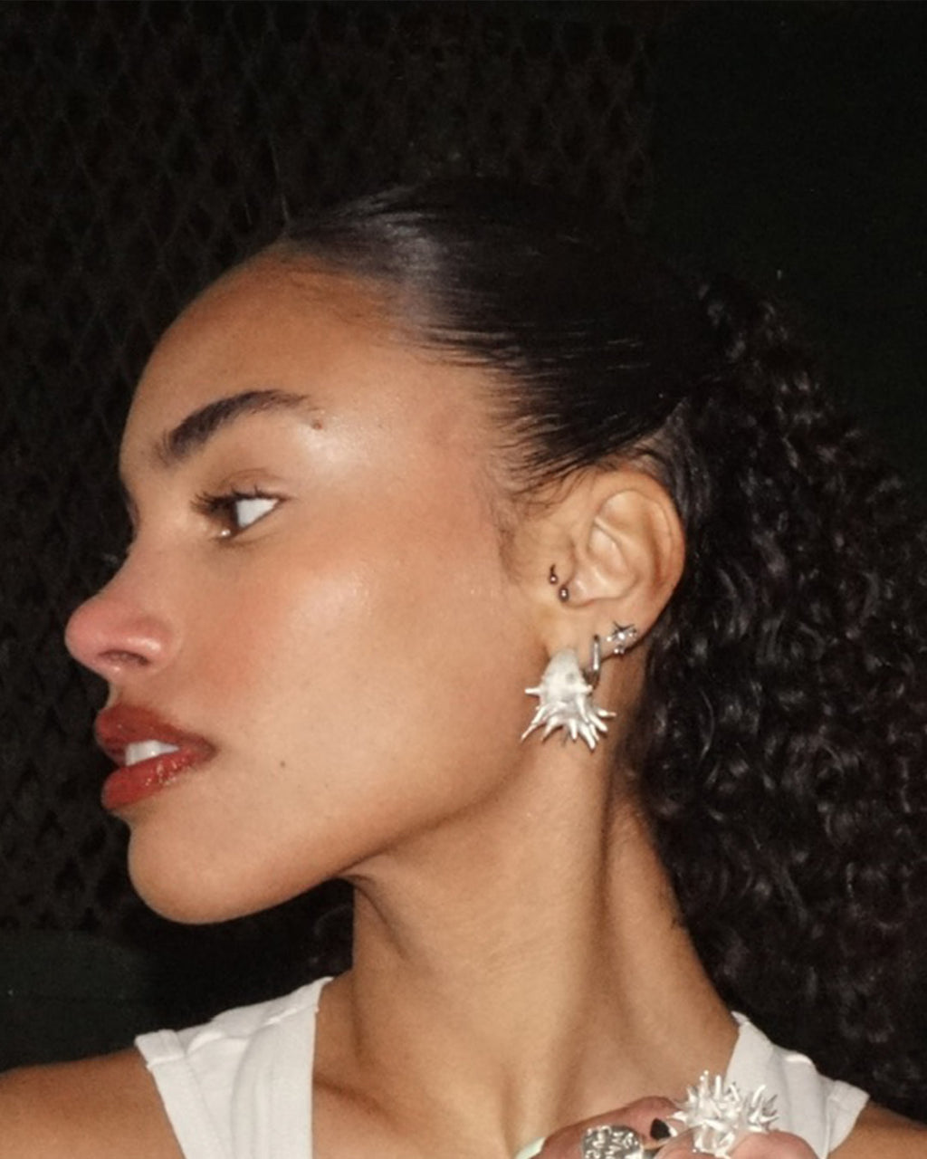 LO-10 ARETES ESPINA